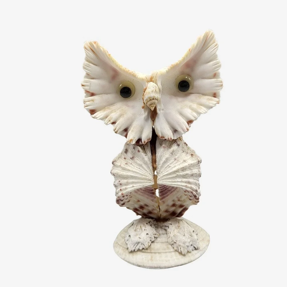 Vintage Googly Eyes Handcrafted Seashell Owl Beach decor Boho Folk Art 4